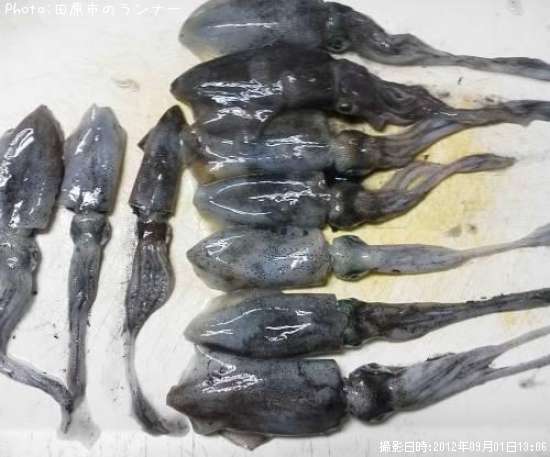 �����ꥤ��