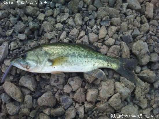 �֥�å��Х�