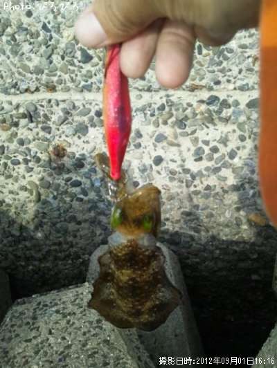 �����ꥤ��