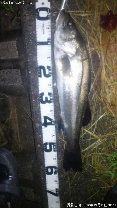 �����Х�