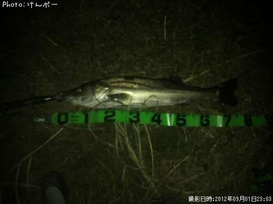 �����Х�