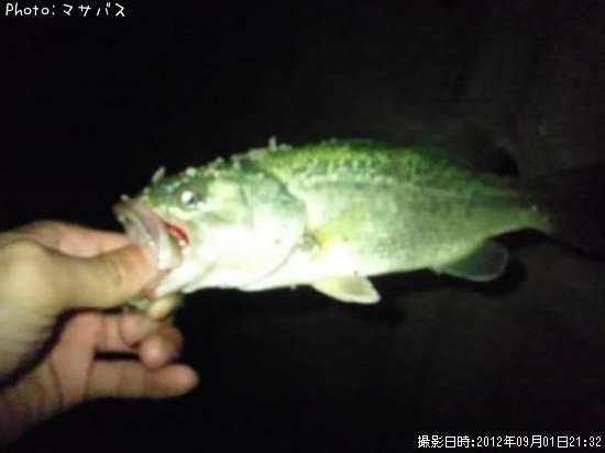 �֥�å��Х�