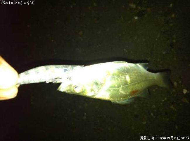 �����Х�