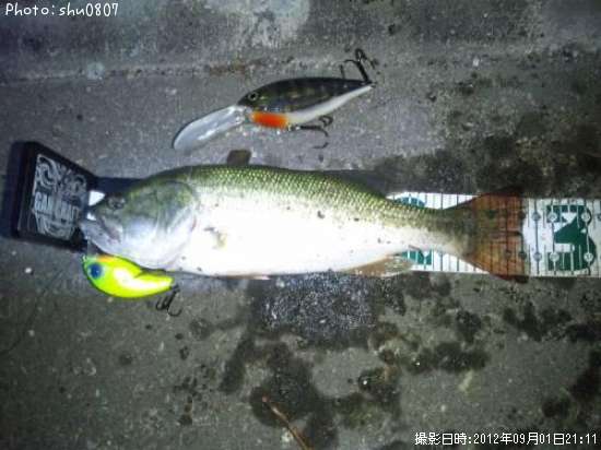 �֥�å��Х�