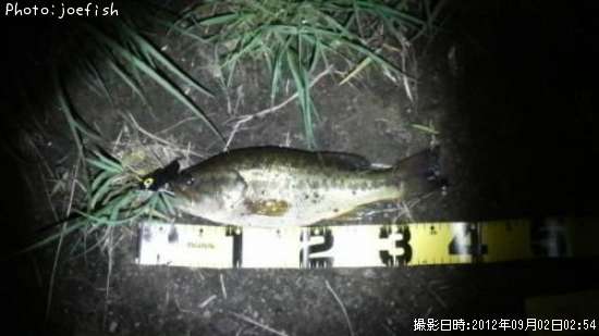 �֥�å��Х�