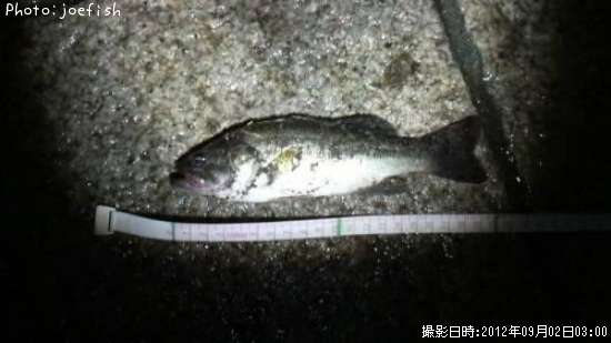 �֥�å��Х�