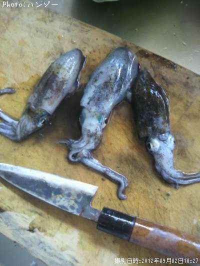 �����ꥤ��