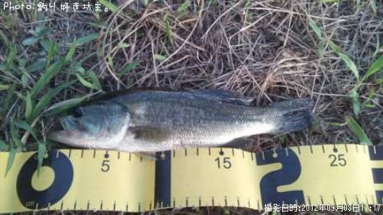 �֥�å��Х�