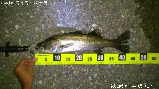 �����Х�