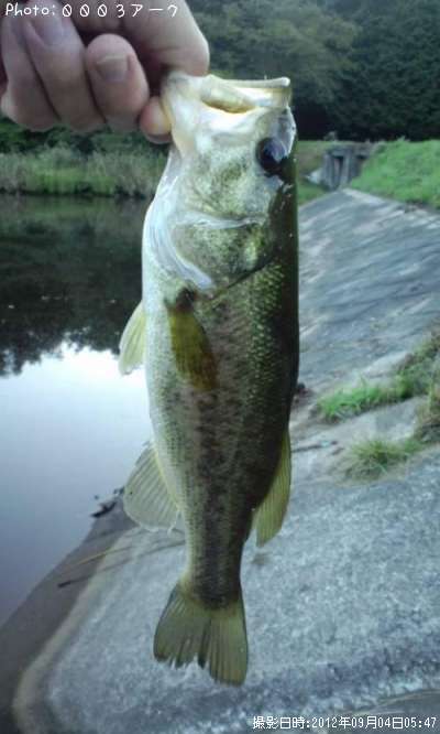 �֥�å��Х�