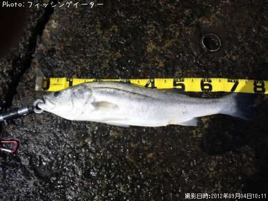 �����Х�