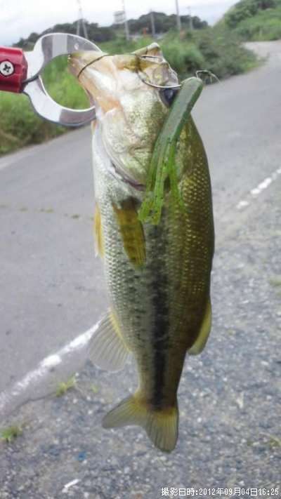 �֥�å��Х�