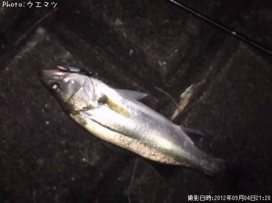 �����Х�