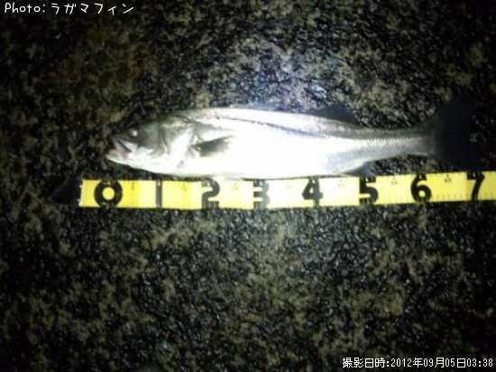 �����Х�