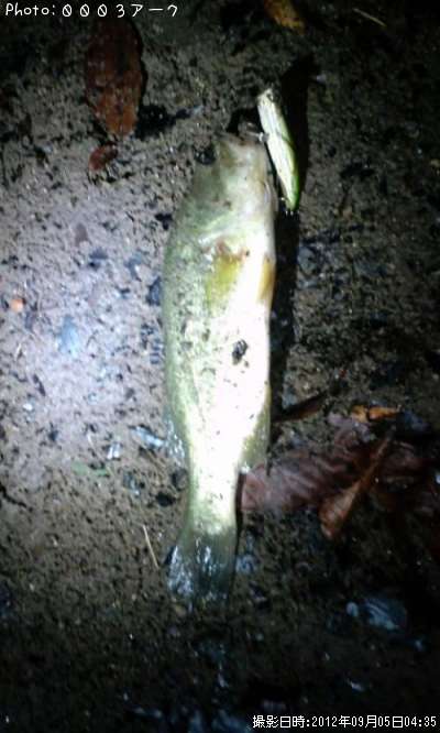 �֥�å��Х�