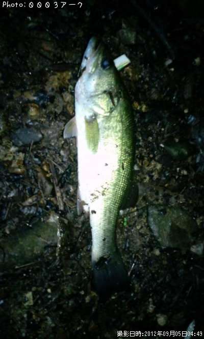 �֥�å��Х�