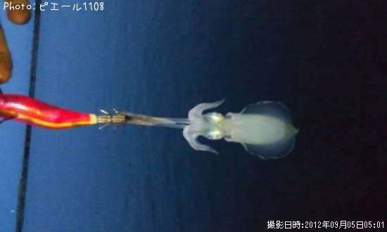 �����ꥤ��