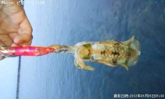 �����ꥤ��