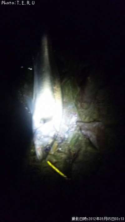 �����Х�