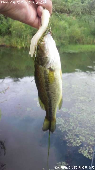 �֥�å��Х�