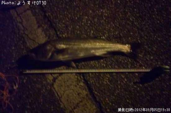 �����Х�