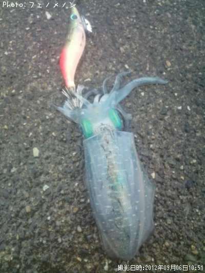 �����ꥤ��