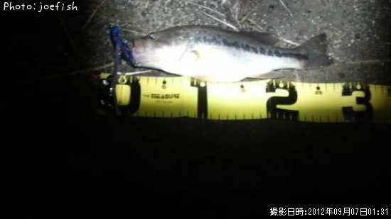 �֥�å��Х�