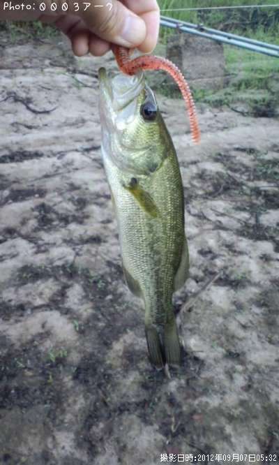 �֥�å��Х�