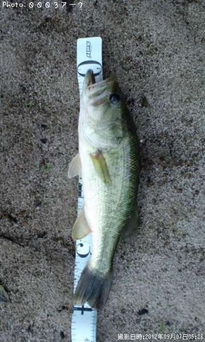 �֥�å��Х�