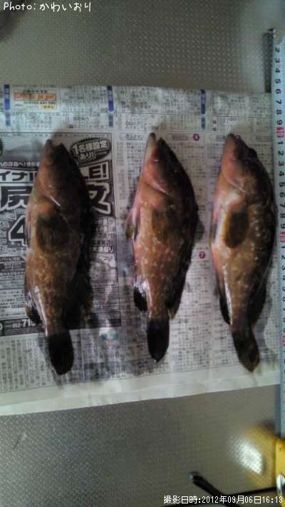 �����ϥ�