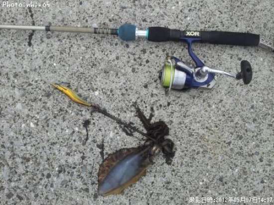 �����ꥤ��