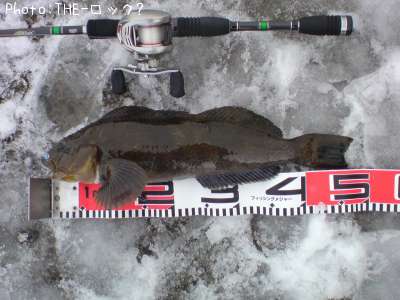 �����ʥ�