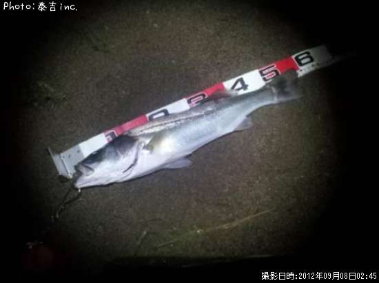 �����Х�