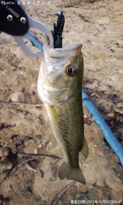 �֥�å��Х�