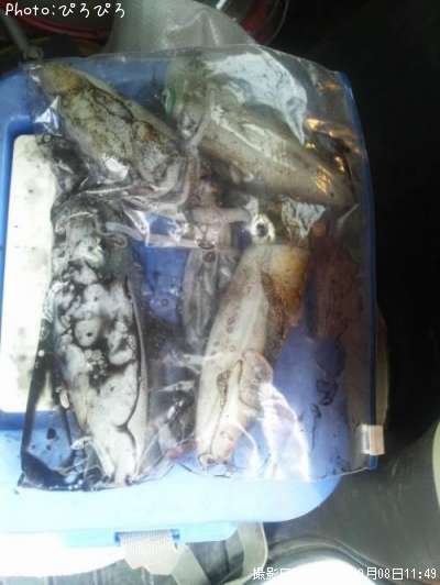 �����ꥤ��