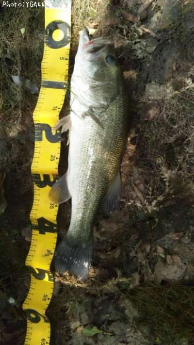 �֥�å��Х�