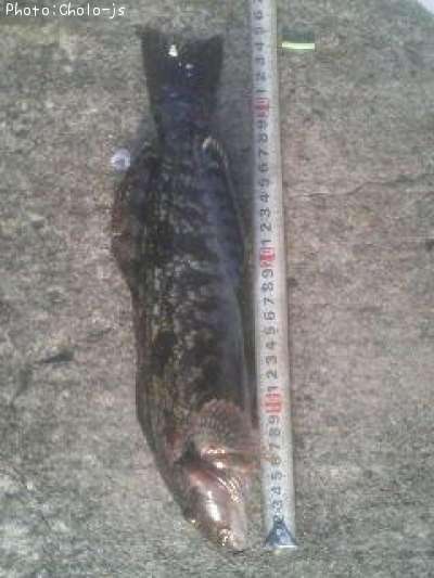 �����ʥ�