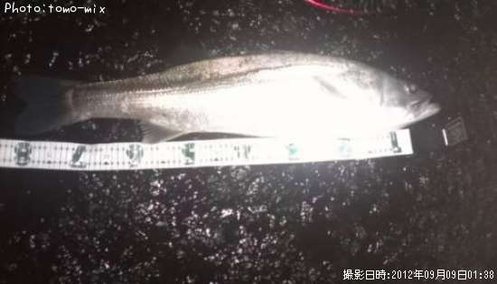 �����Х�