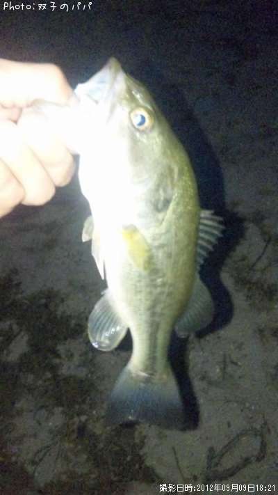 �֥�å��Х�