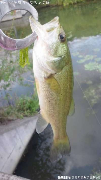 �֥�å��Х�