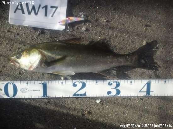 �����Х�