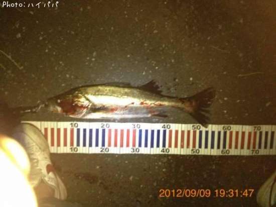 �����Х�