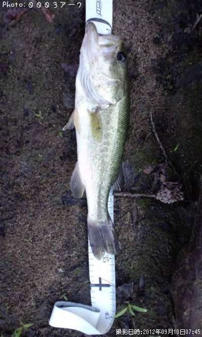 �֥�å��Х�