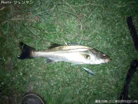 �����Х�