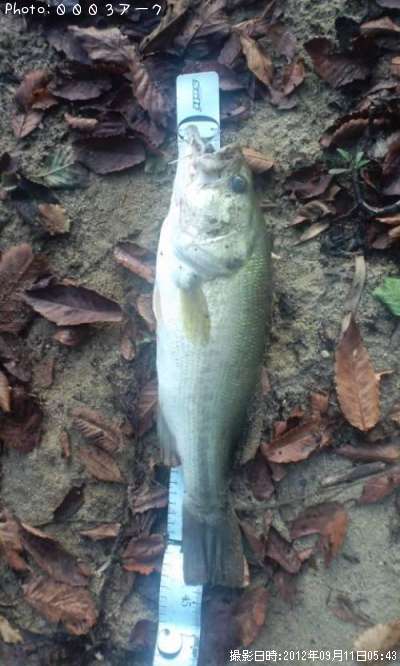 �֥�å��Х�