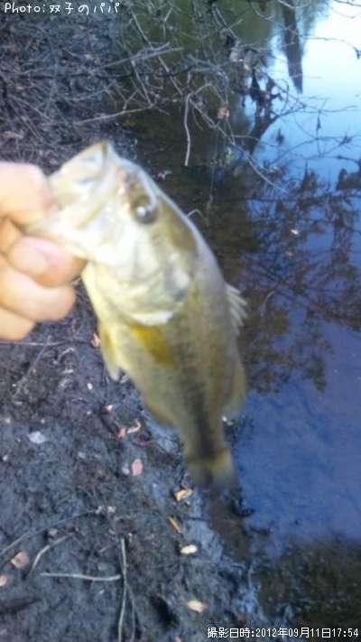 �֥�å��Х�