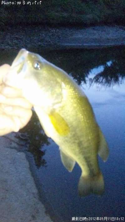 �֥�å��Х�