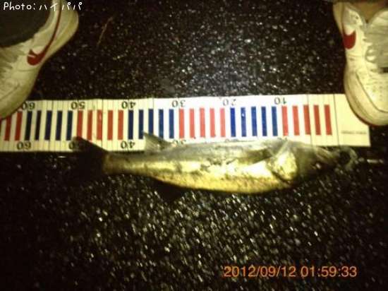 �����Х�