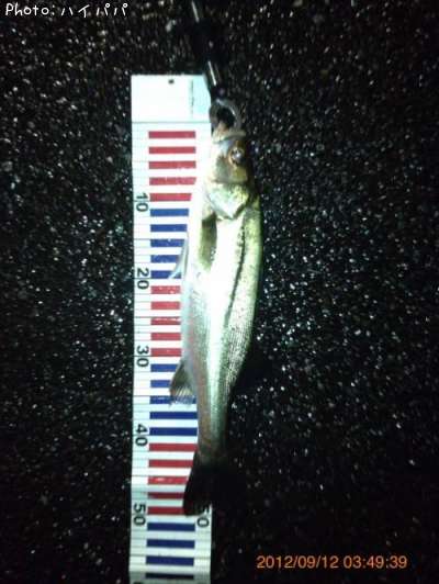 �����Х�