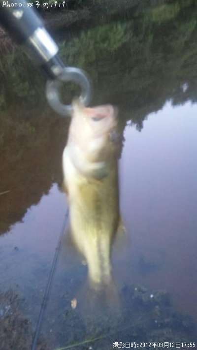 �֥�å��Х�